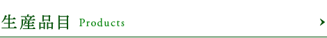 bnrhalf_products_ttl